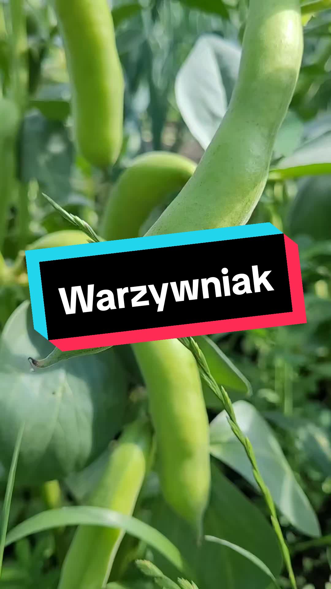 @Swojska Joanna | Lifestyle