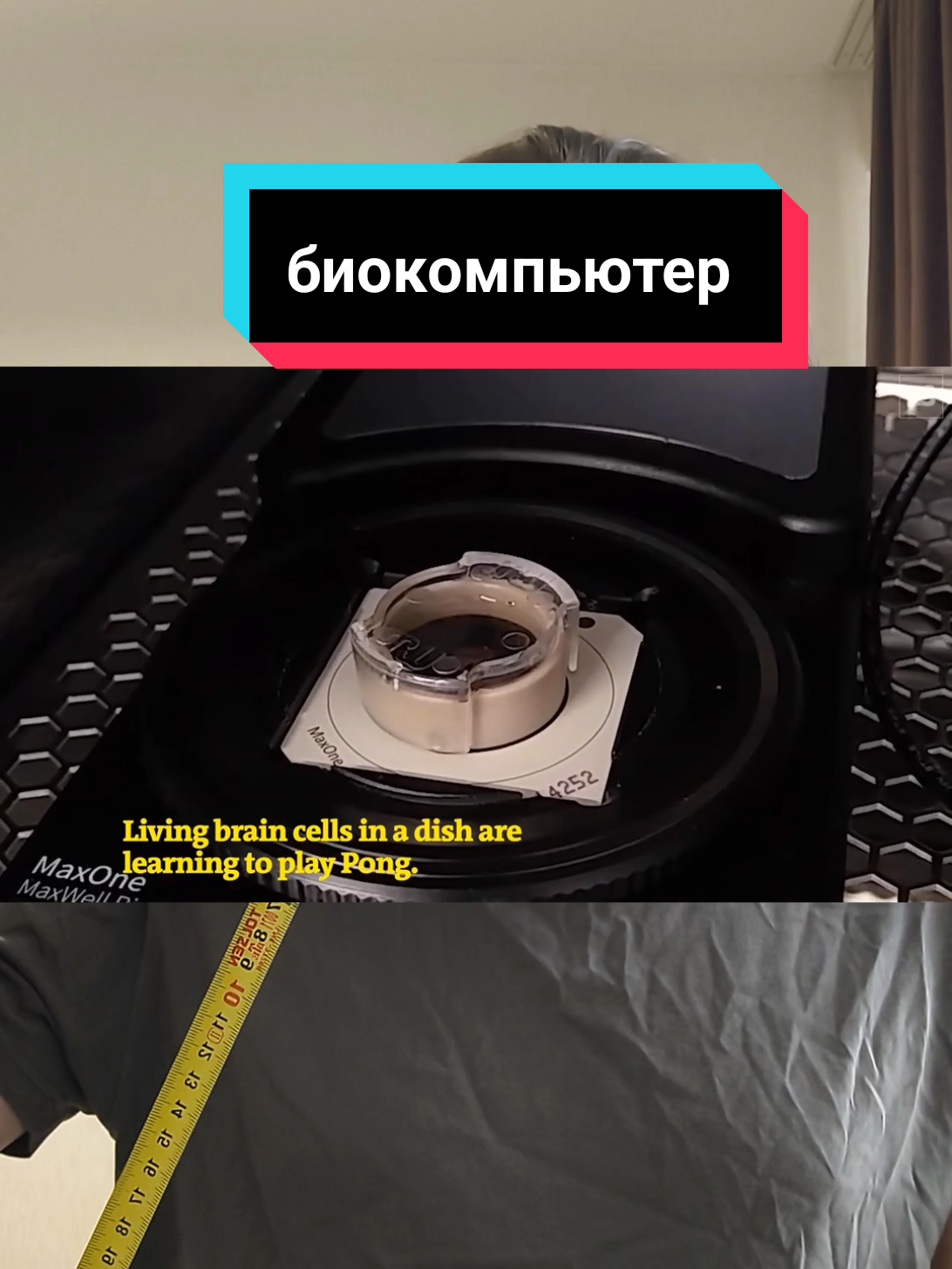 @чопокомпик)