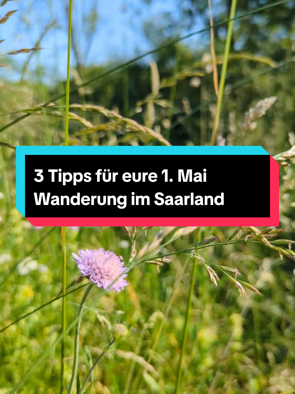 @urlaub.saarland