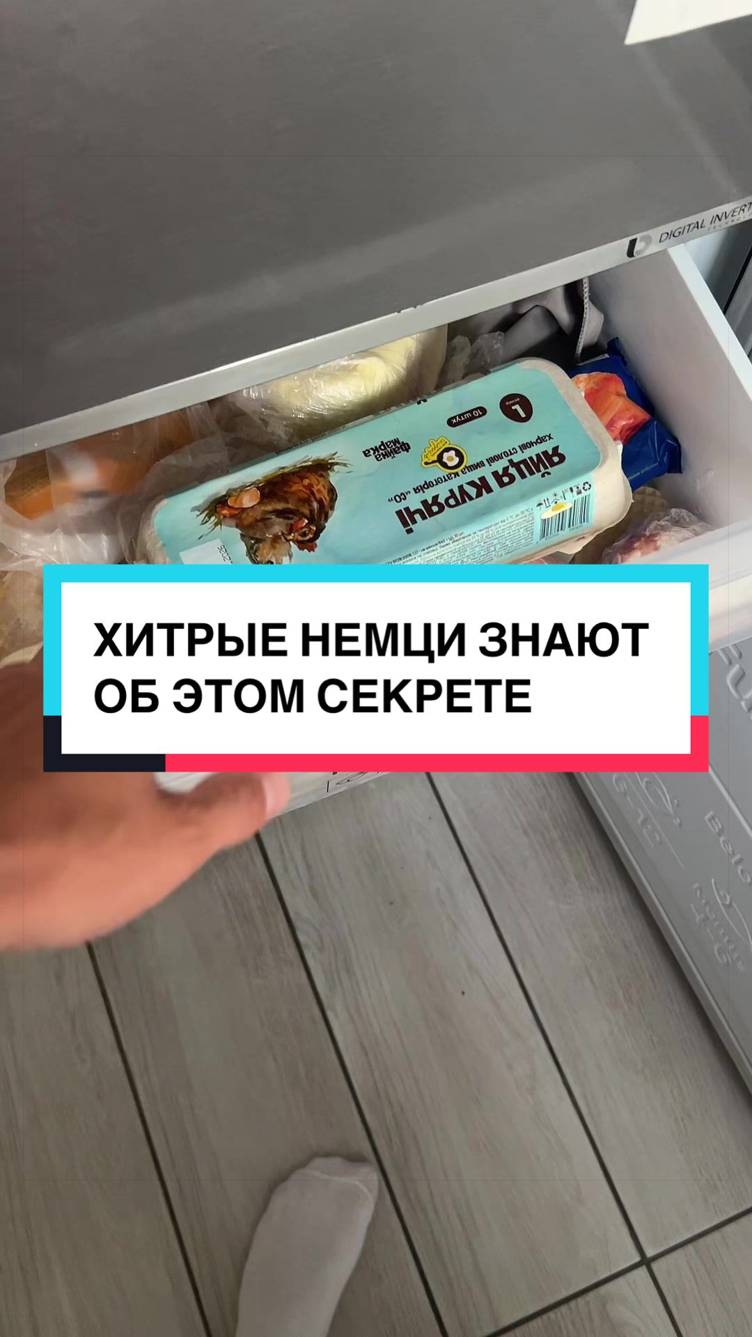 @laifhak_mozgi