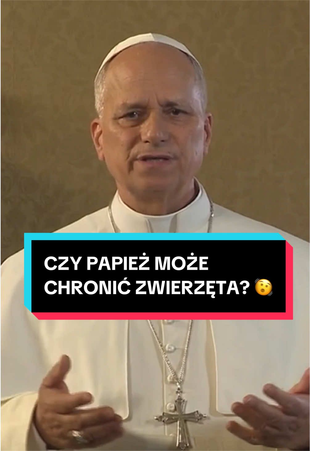 @pandawojtekyt