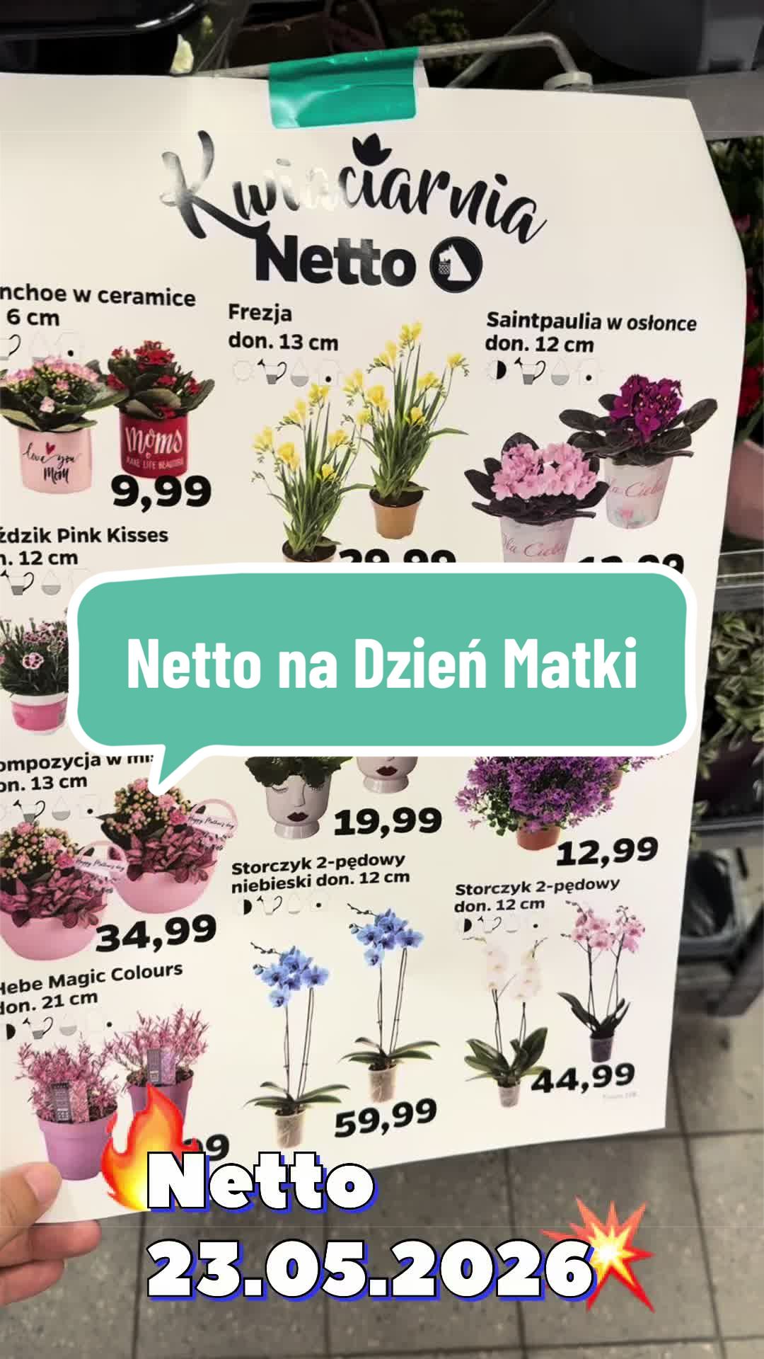 @maciej.plants