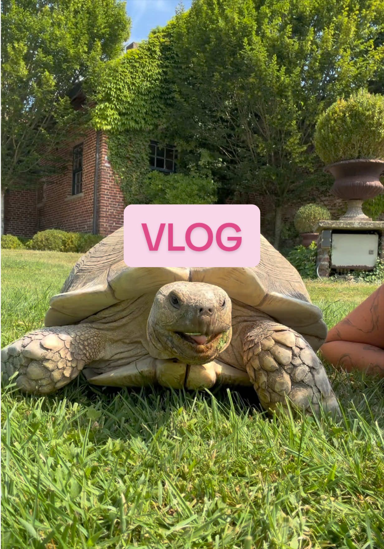 @Malina | ugc creator