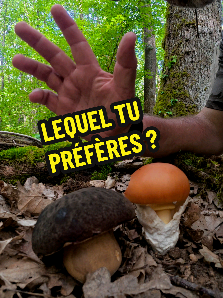 @Dan 🍄🟫 Le Champologue