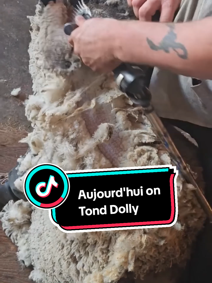 @TMFR 🇫🇷