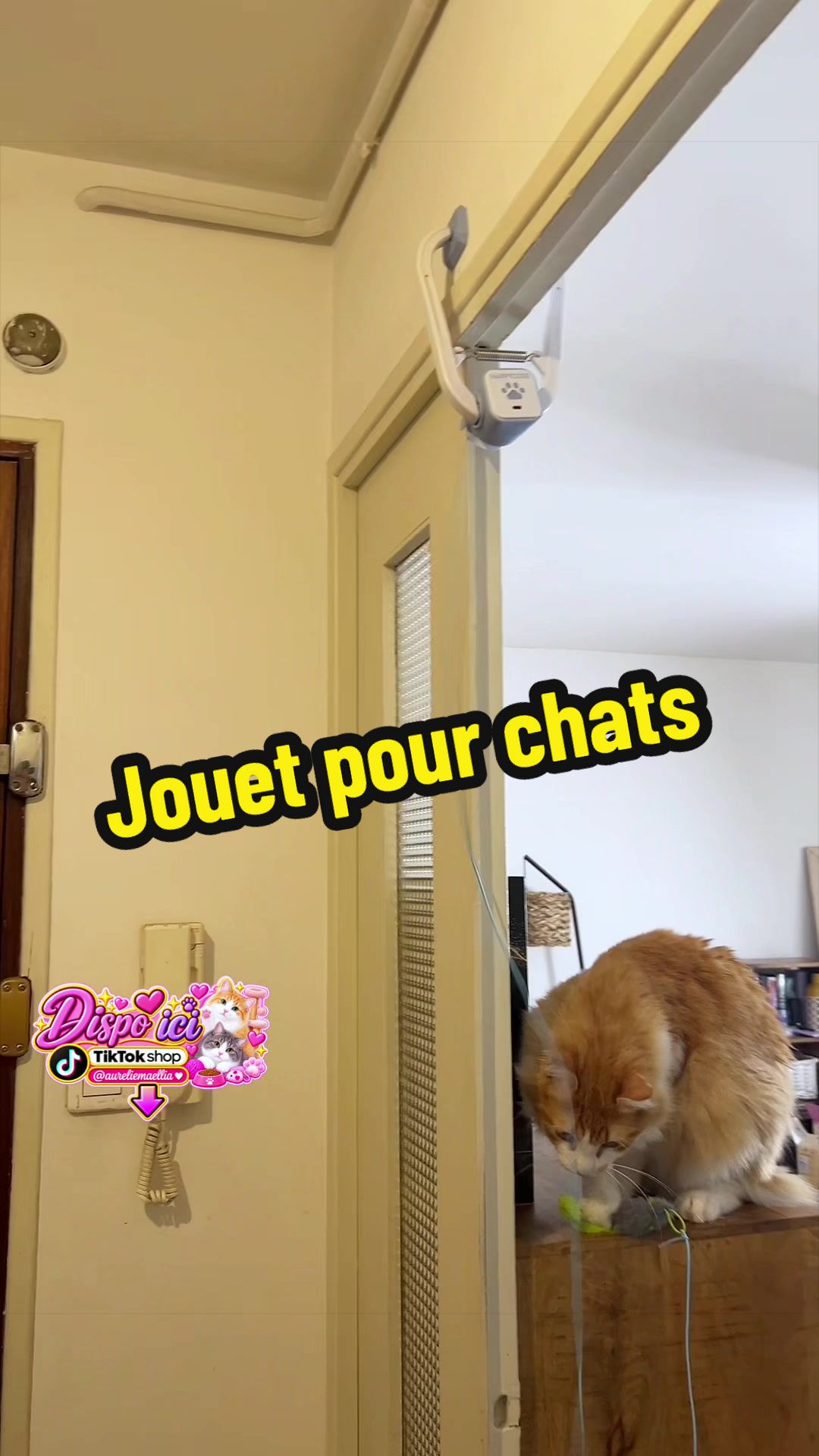 @Aurélie et Maellia
