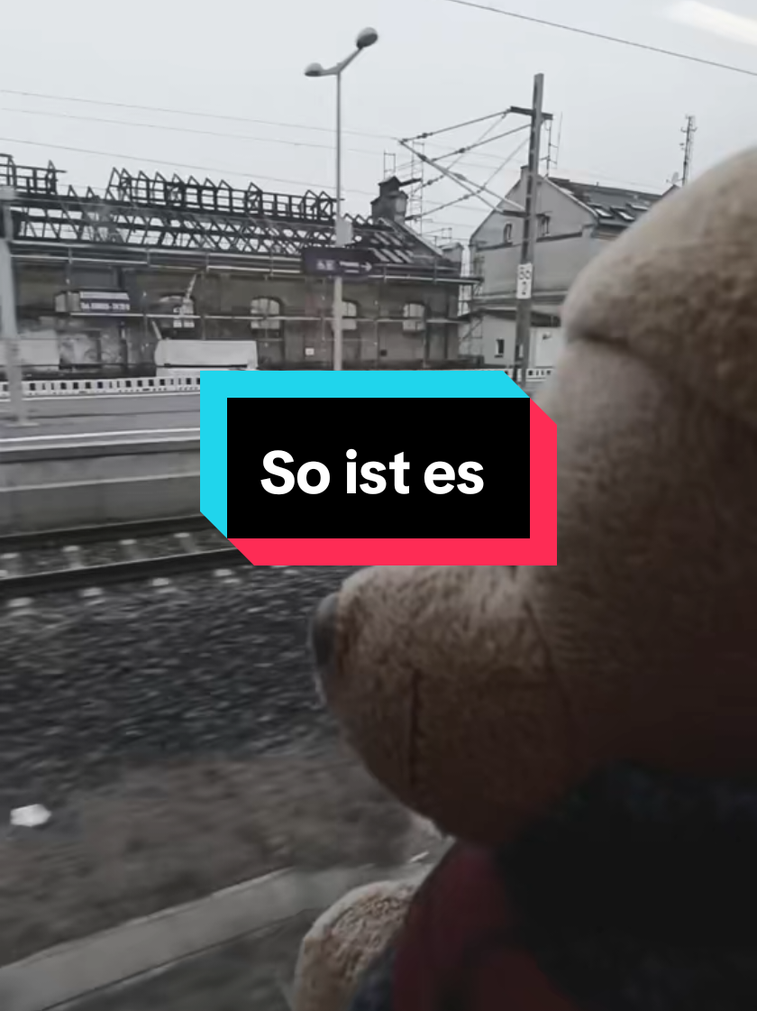@Frank"s Reisen TeamBrunoFrank