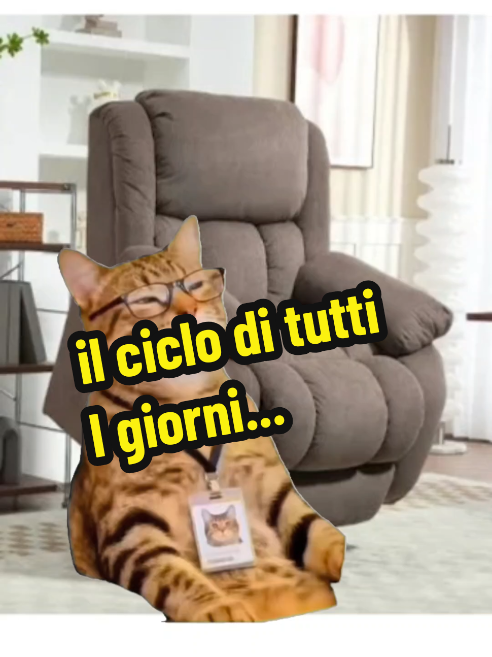 @👑SONO UNA MIA &ldquo;FAN&rdquo;👑