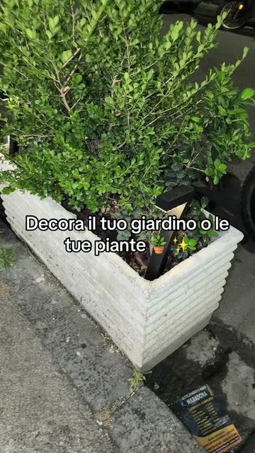 @Tony Mery