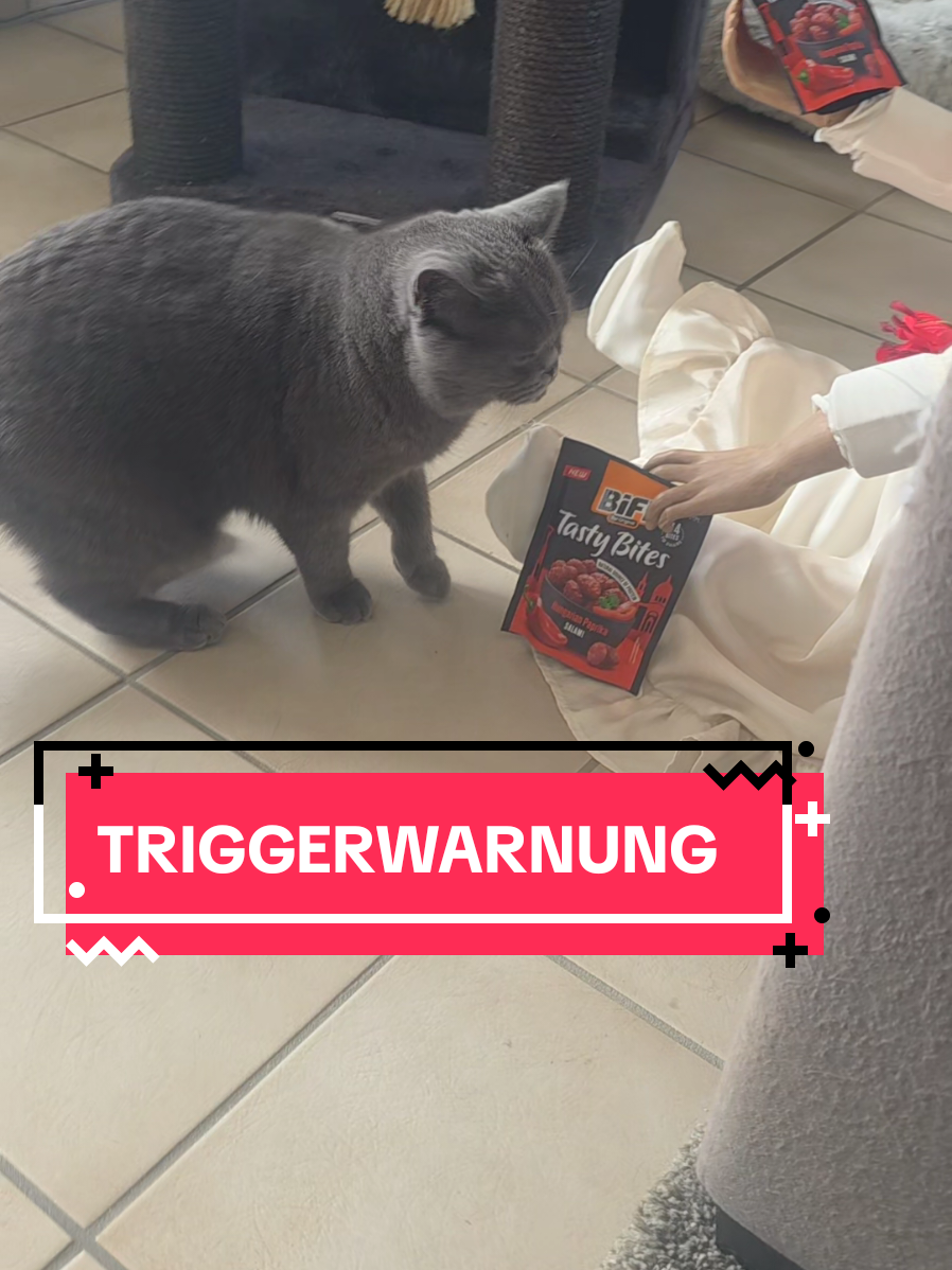 @Prinzessin Kunterbunt 👸🏻🦖