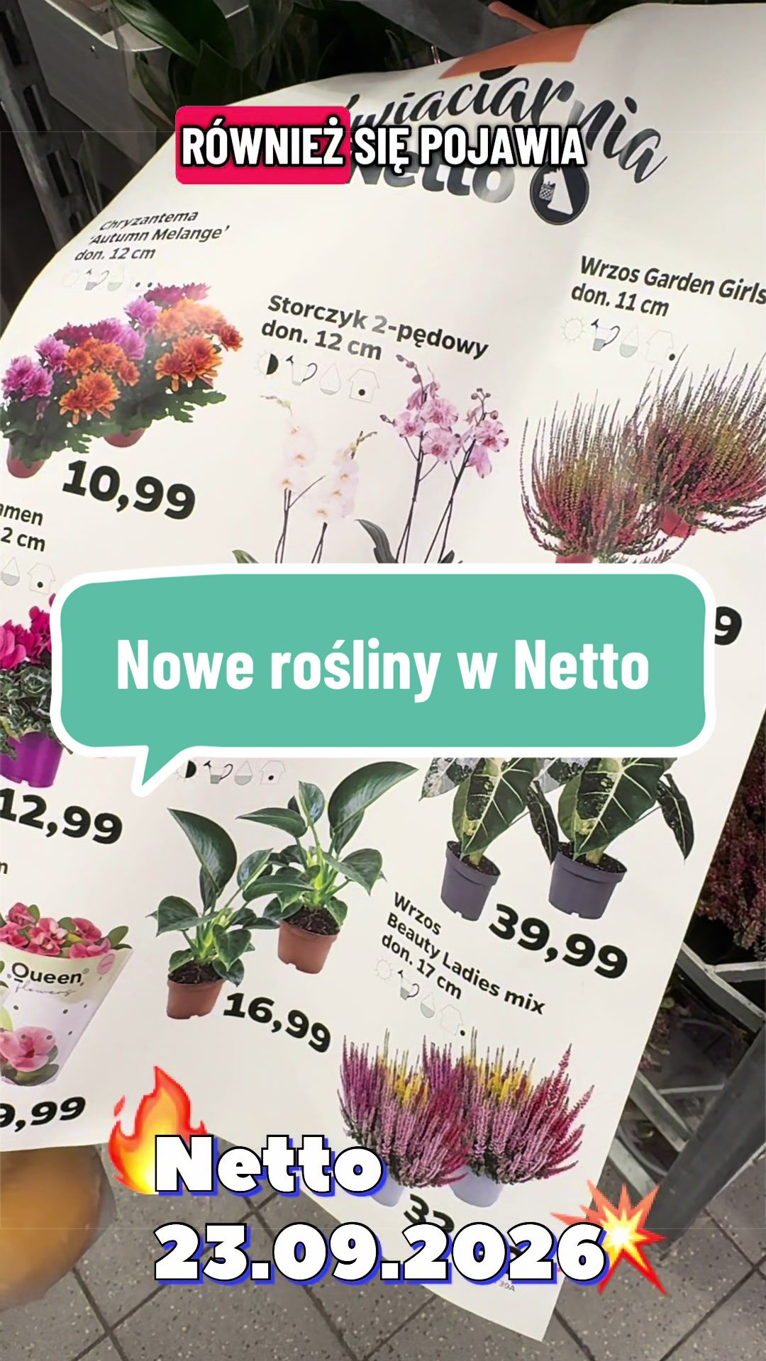 @maciej.plants
