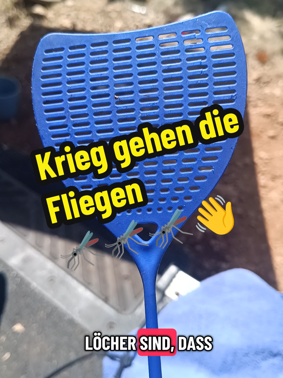 @berndout