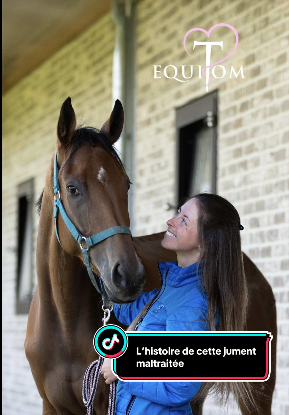 @Equitom