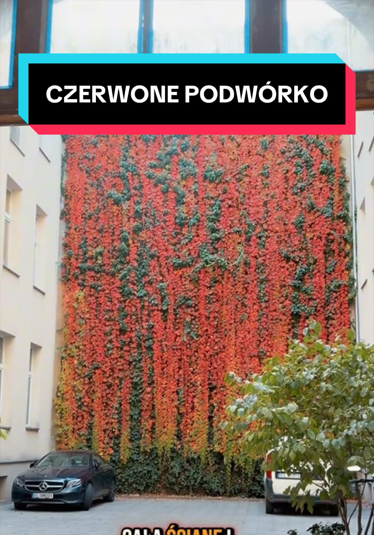 @Ł&oacute;dź 🦄
