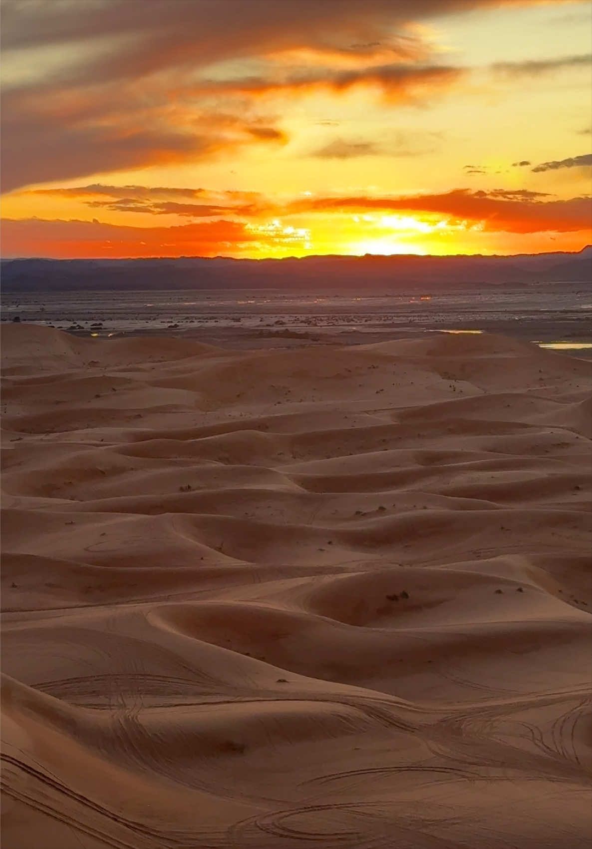 @Merzouga Globe 🌎