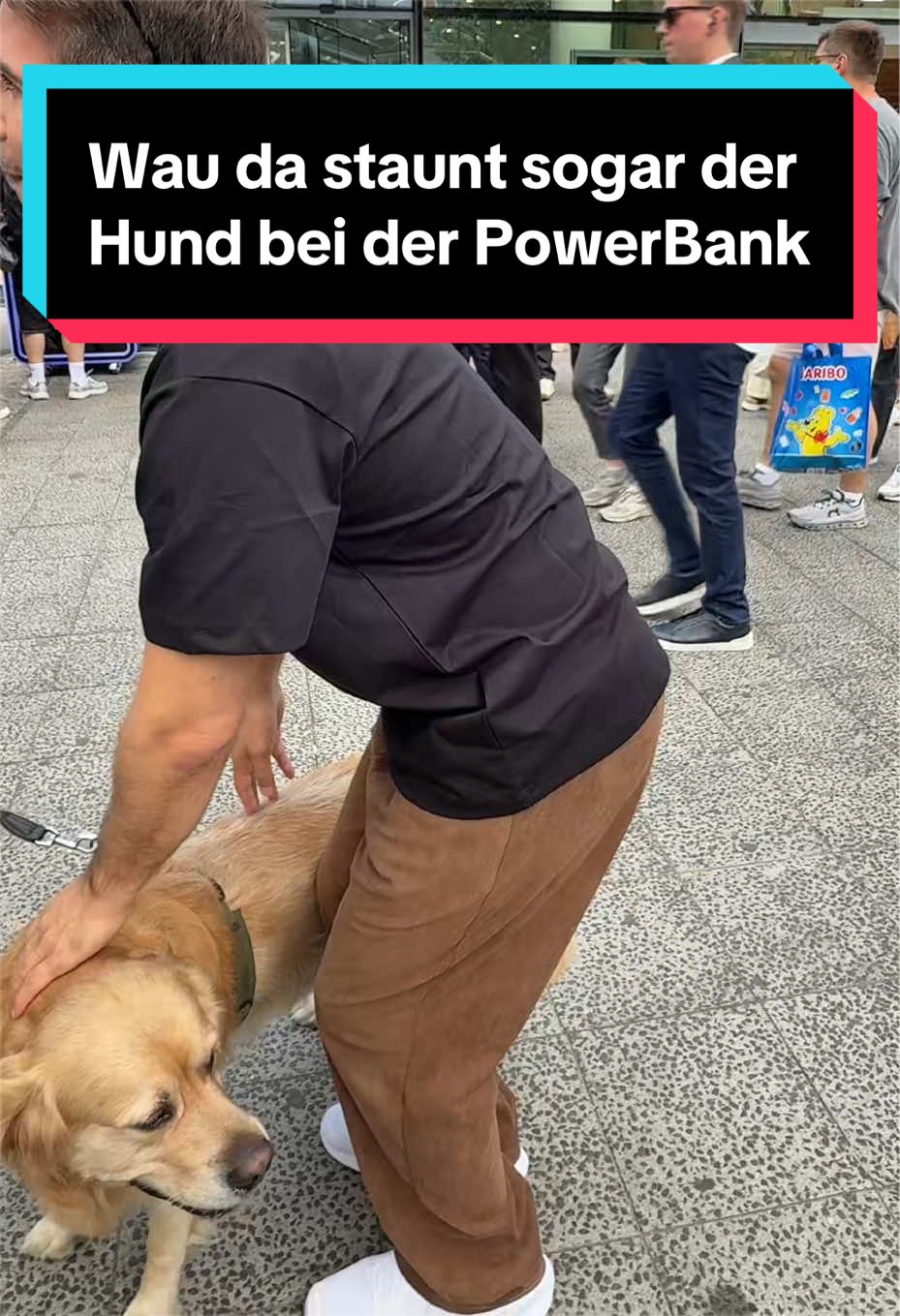 @MaximNoise