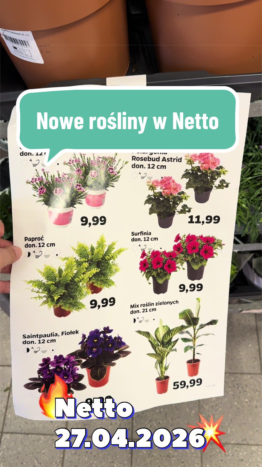 @maciej.plants