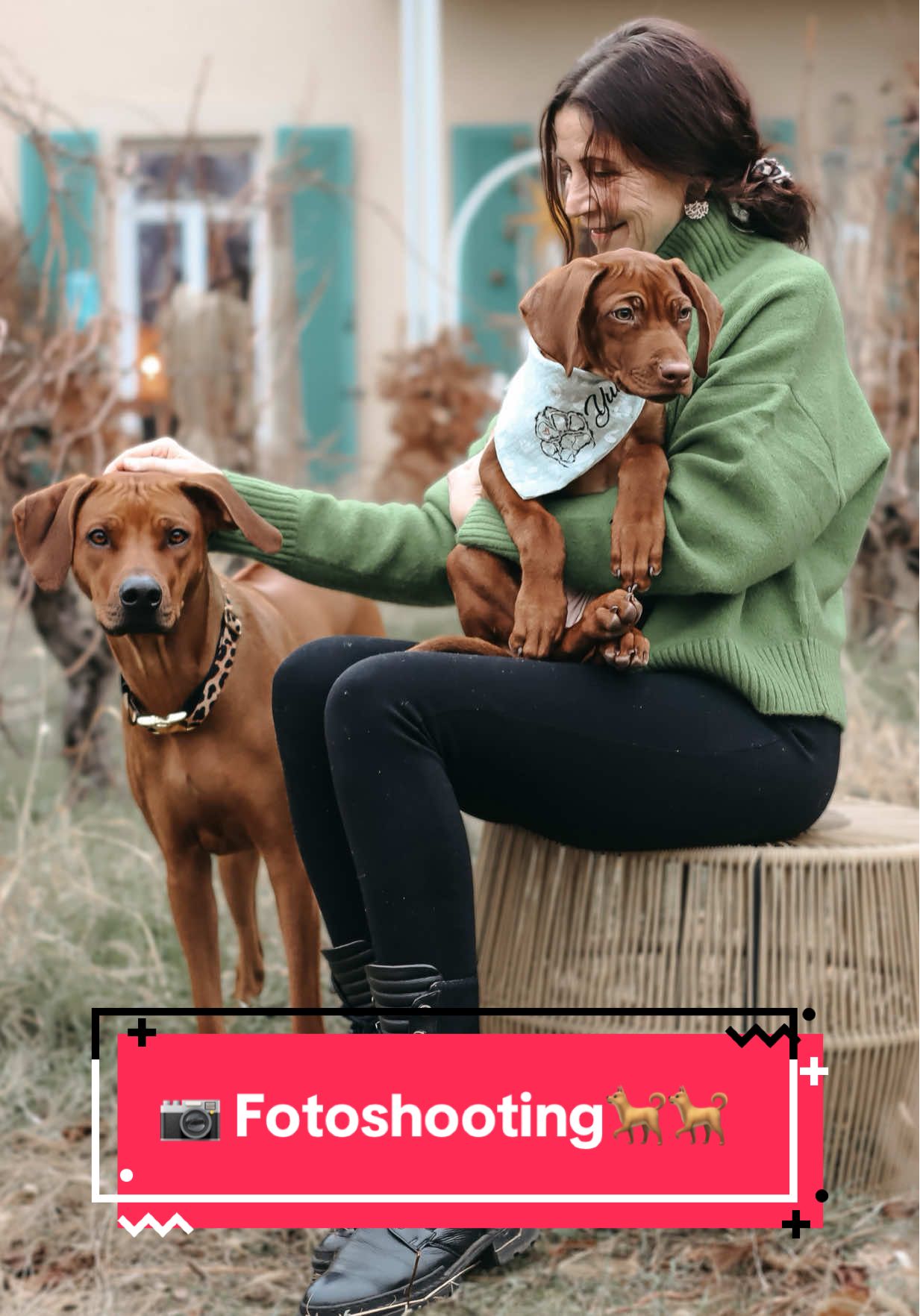 @💃🏻📷🐕🐕annettslittlemoments