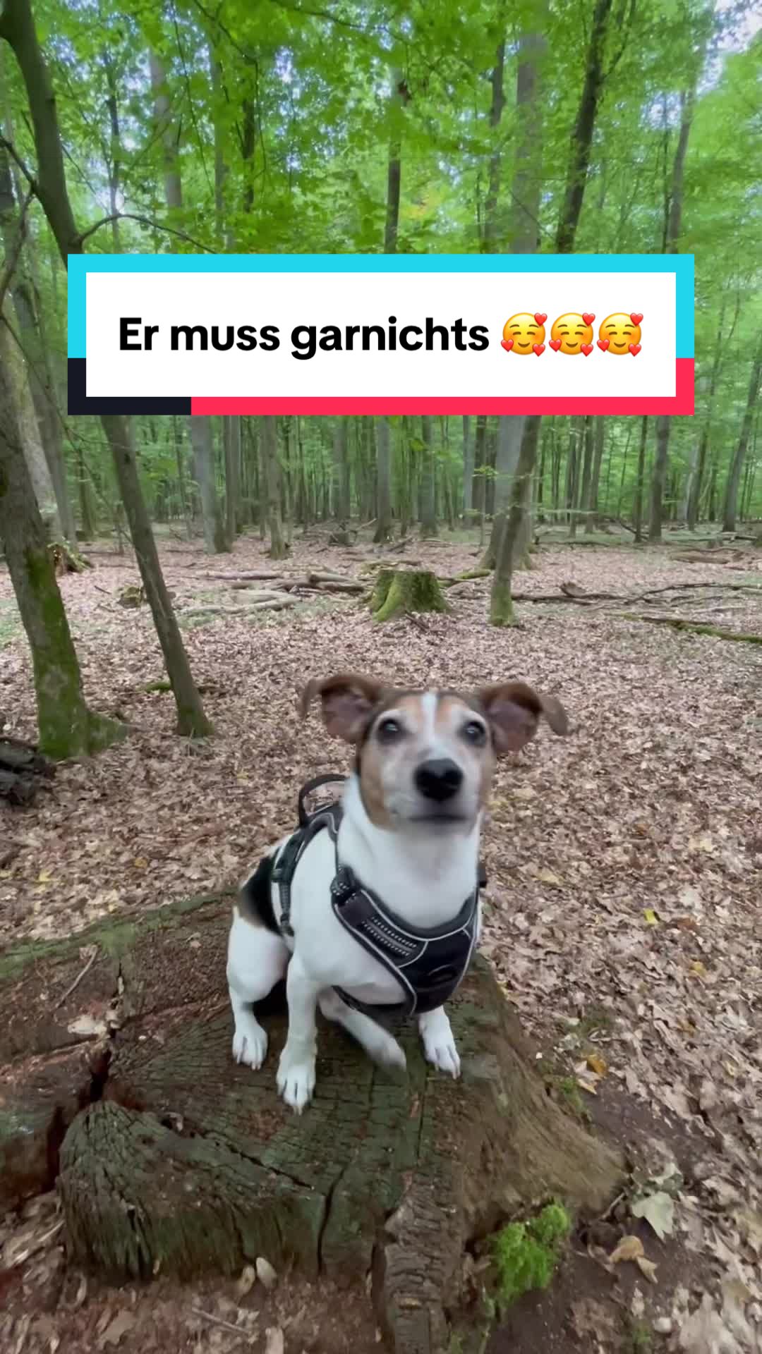 @Rocky und ich