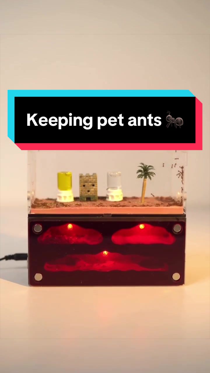 @antshq