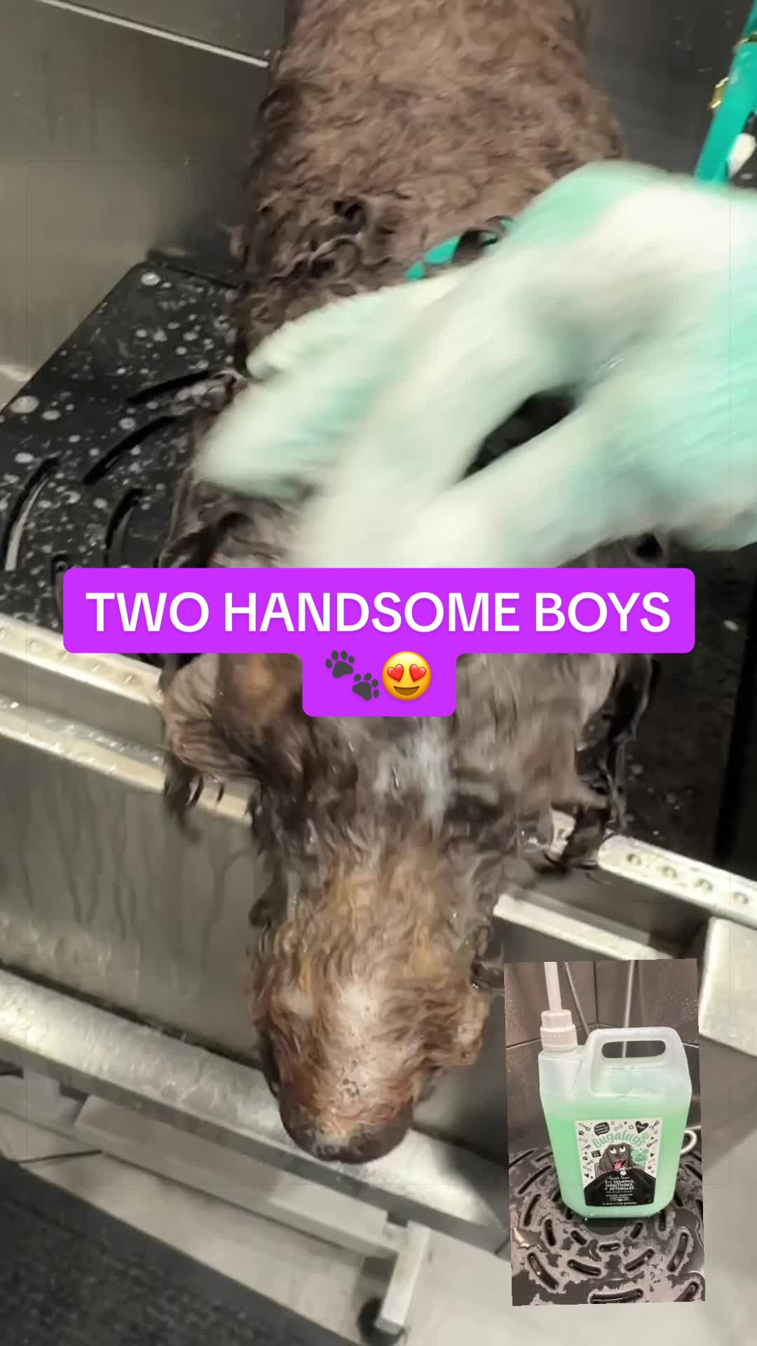 @DevenickDogs