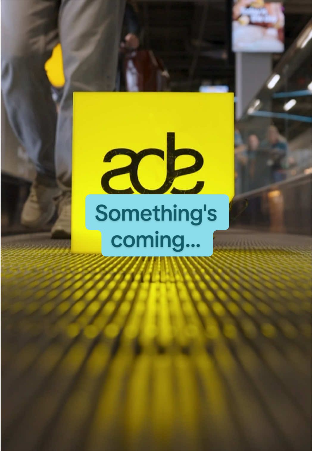 @Amsterdam Airport Schiphol