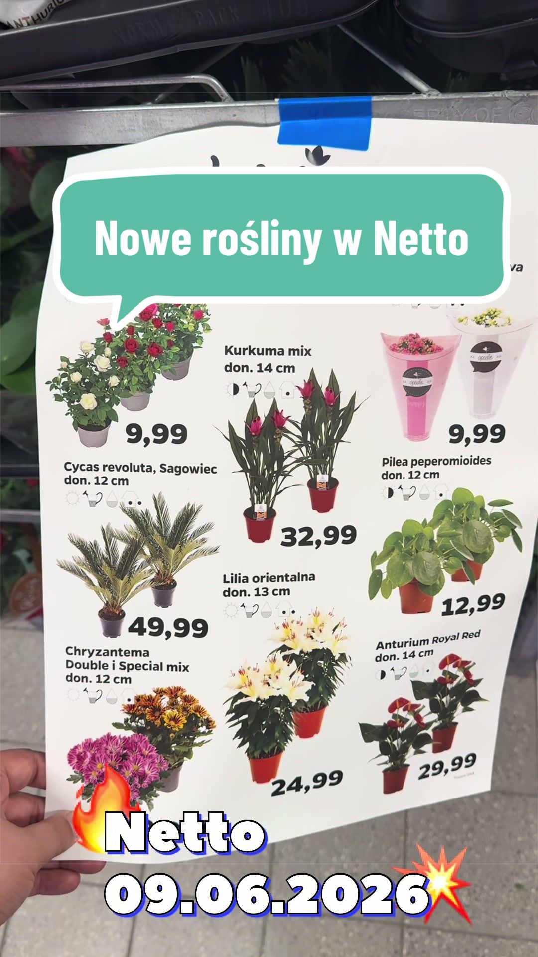 @maciej.plants