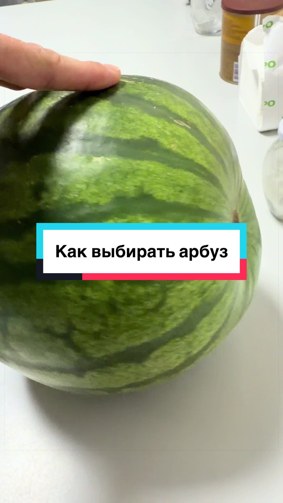@laifhak_mozgi