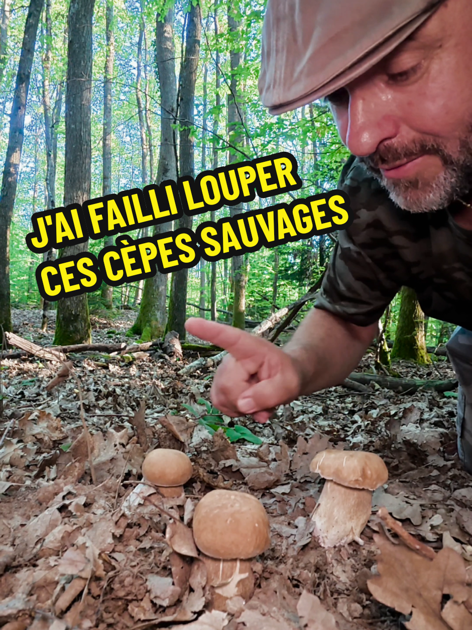 @Dan 🍄🟫 Le Champologue
