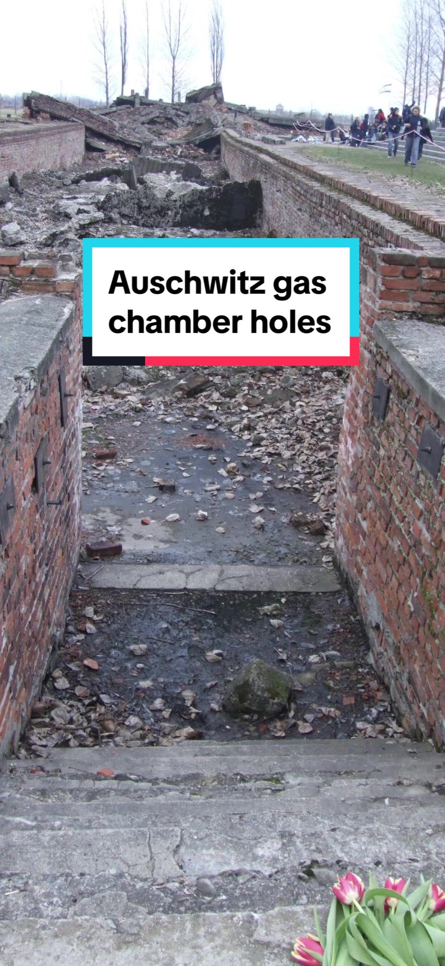 @EasyHistoryVideos