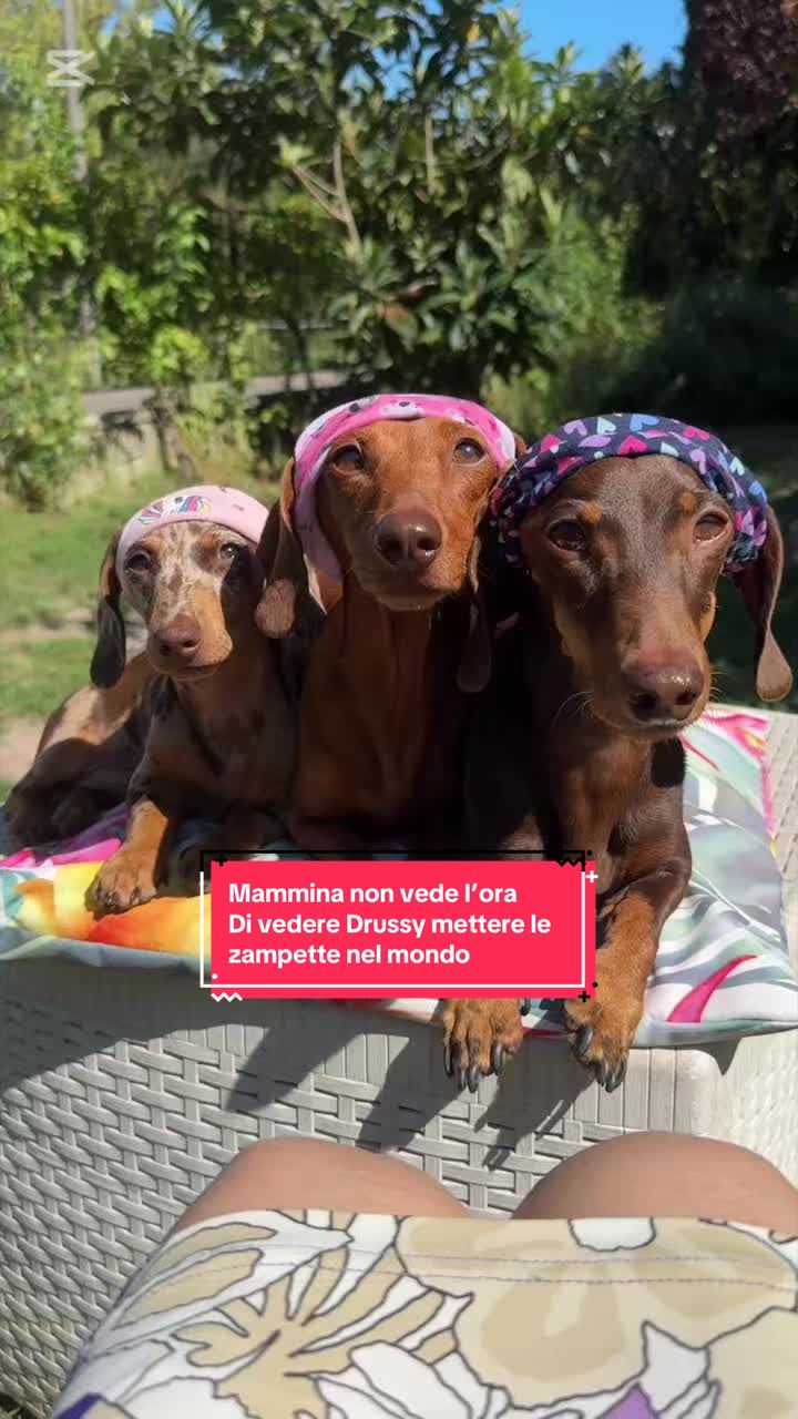 @MillyGraceDrusilla_LeFagioline