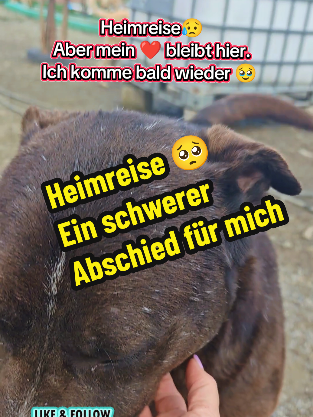 @TSV Candostlari-Beste Freunde