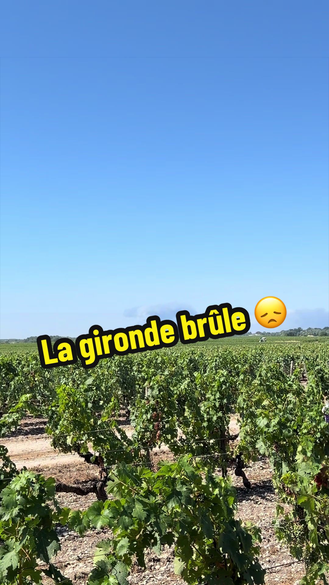 @Le.Viticulteur 🍇🍷🚀