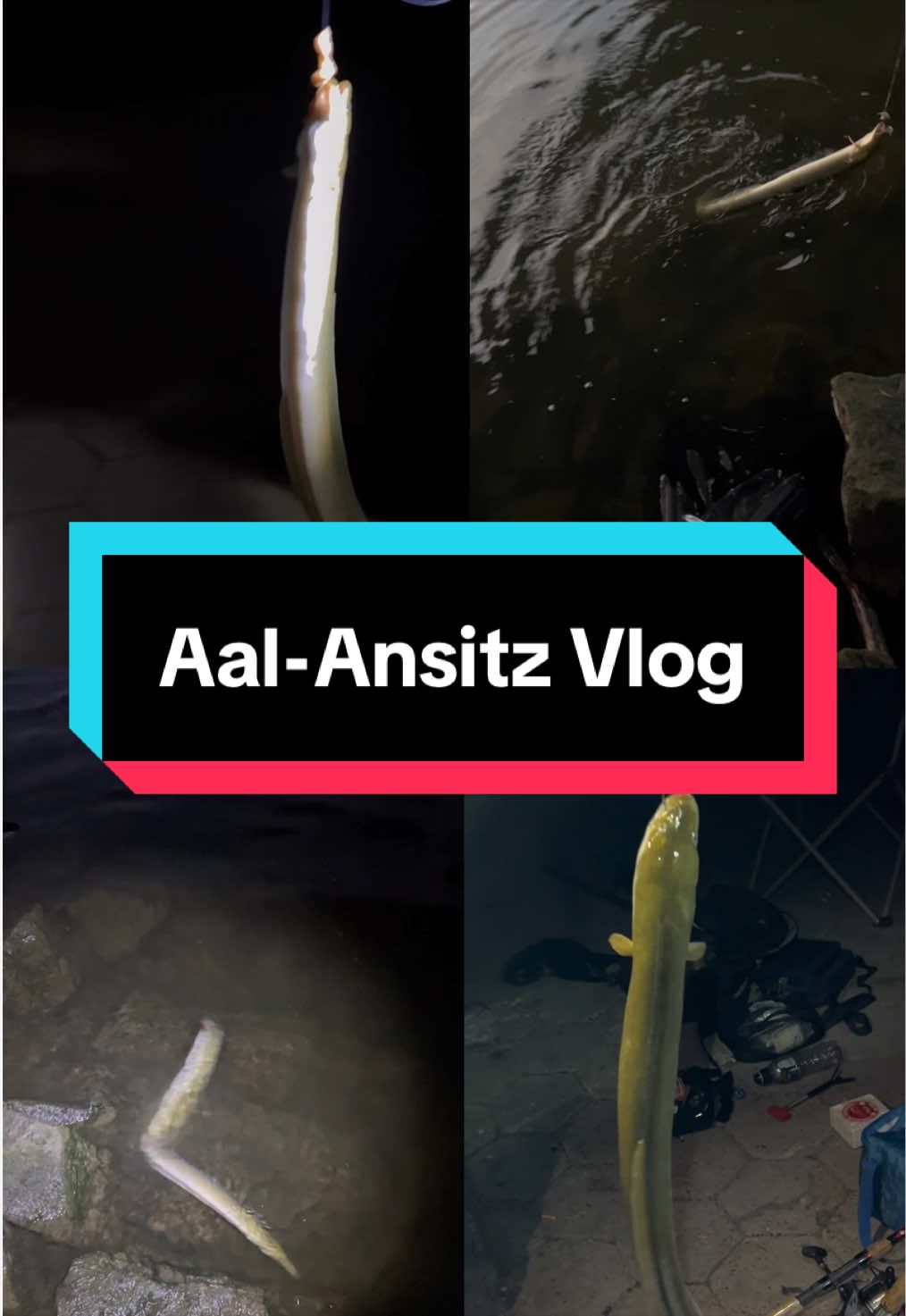 @ManuCast