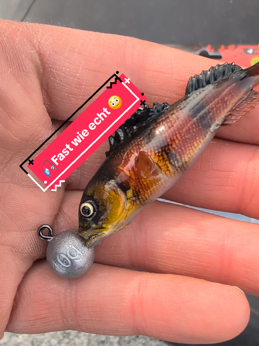 @Iron Claw_Fishing