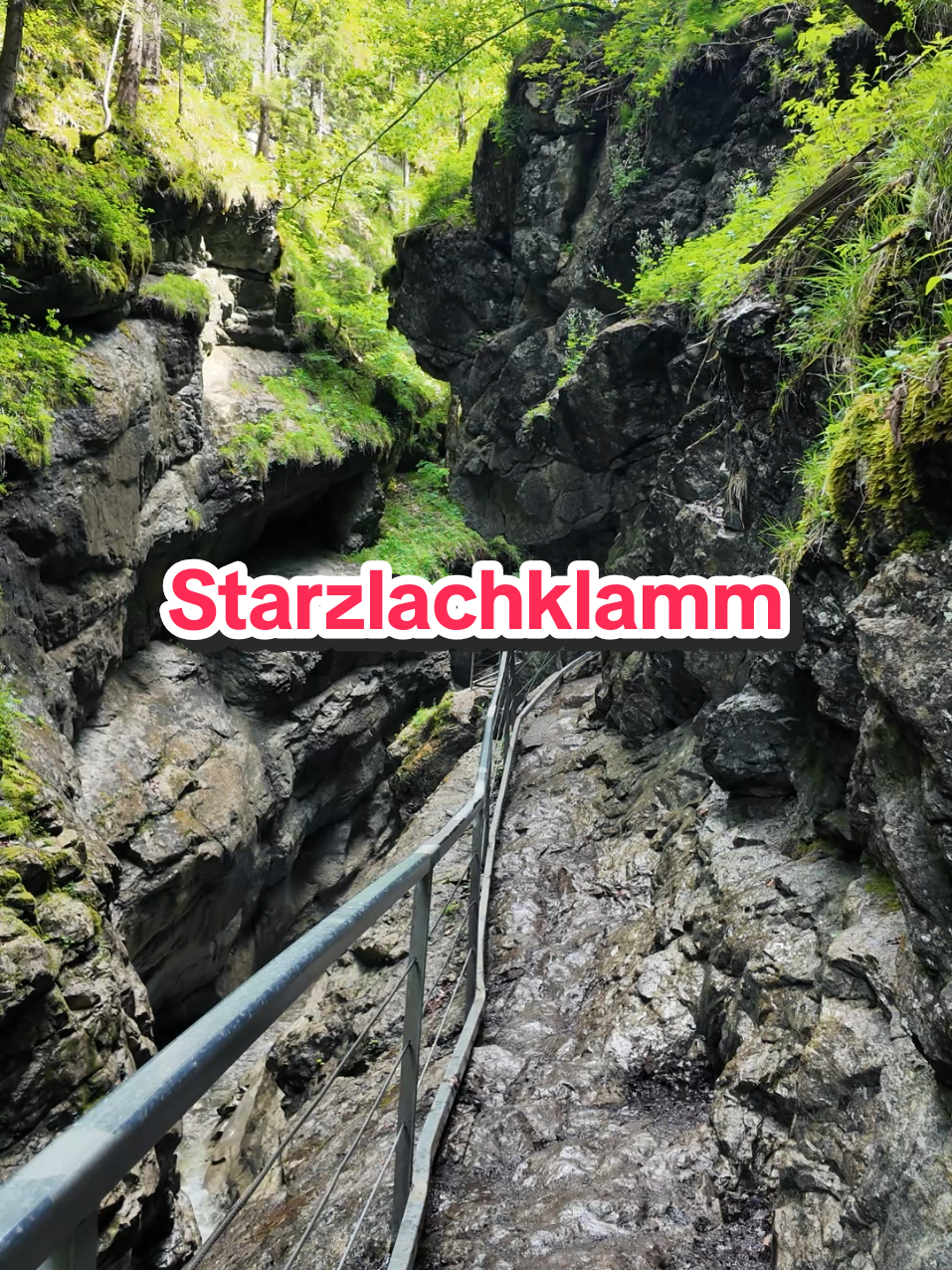 @Am Puls der Natur