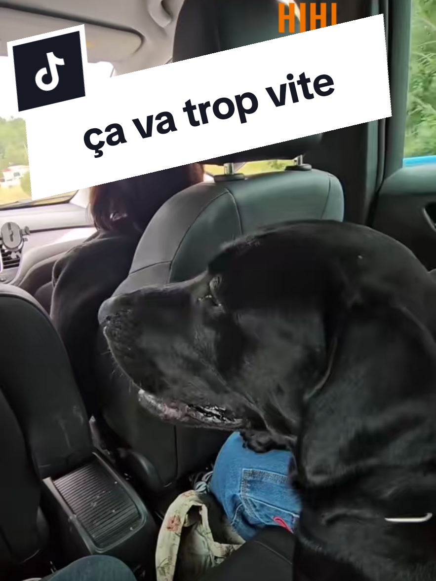 @Battman Batou