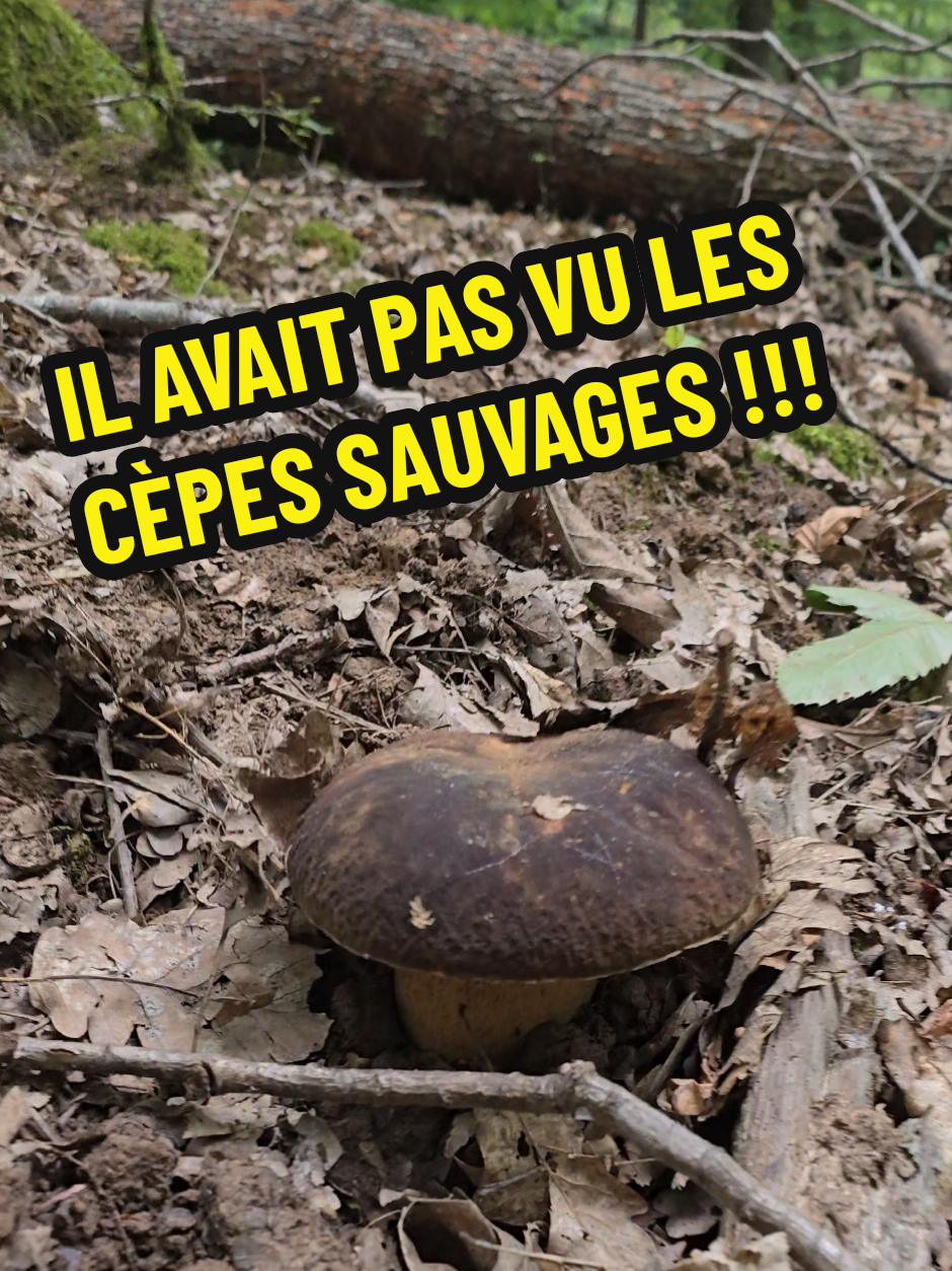 @Dan 🍄🟫 Le Champologue