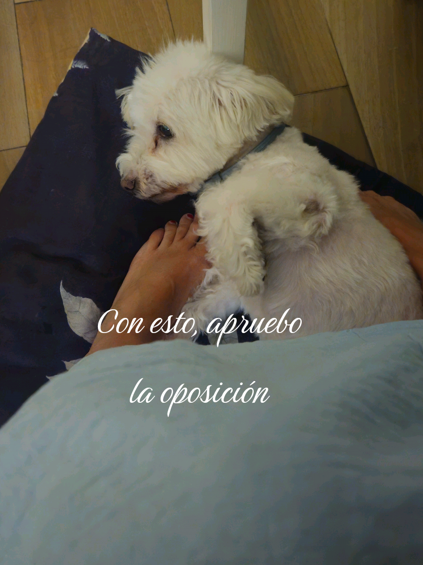 @✨️Cristina