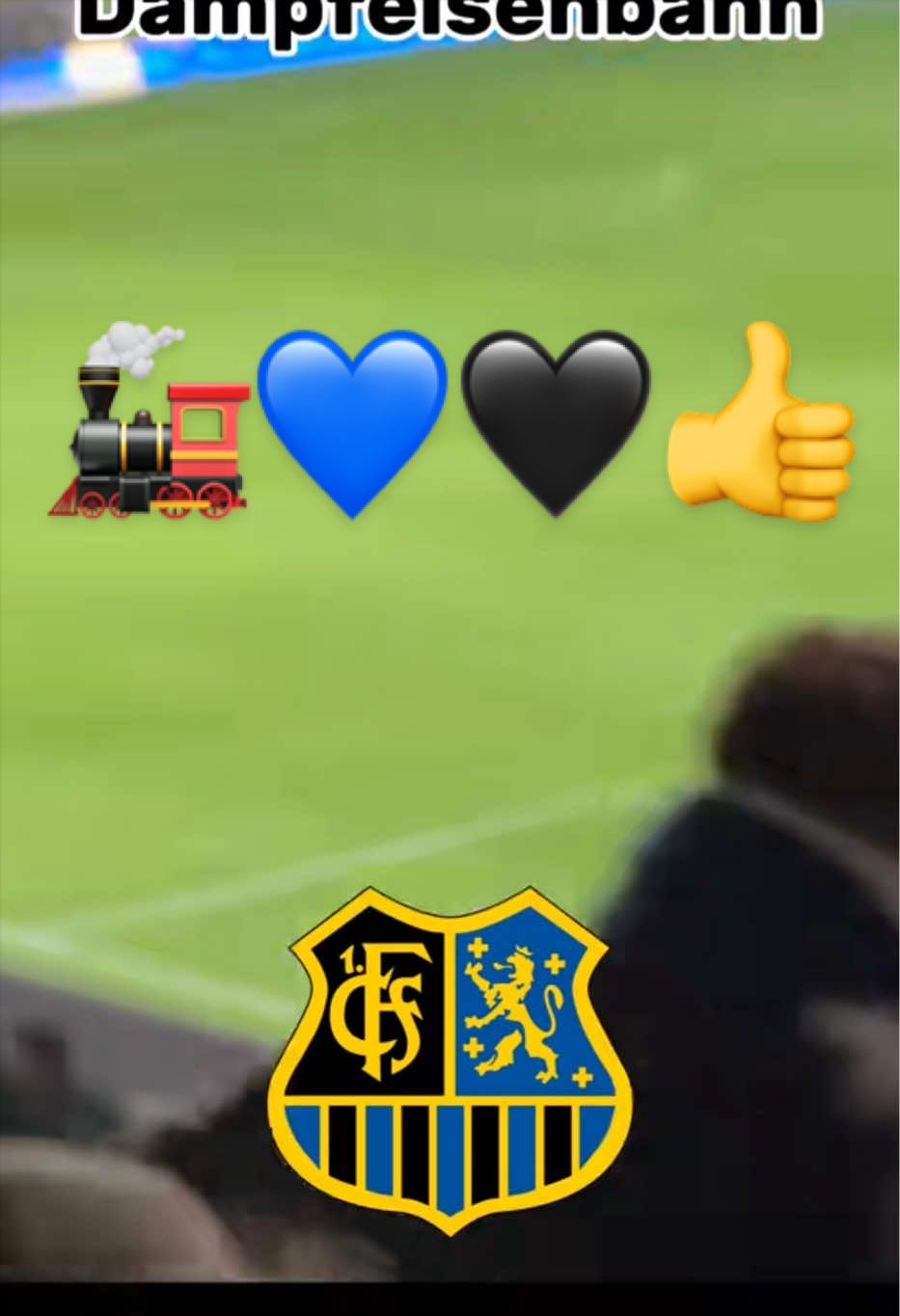 @FCS_Dori🔵⚫️👊