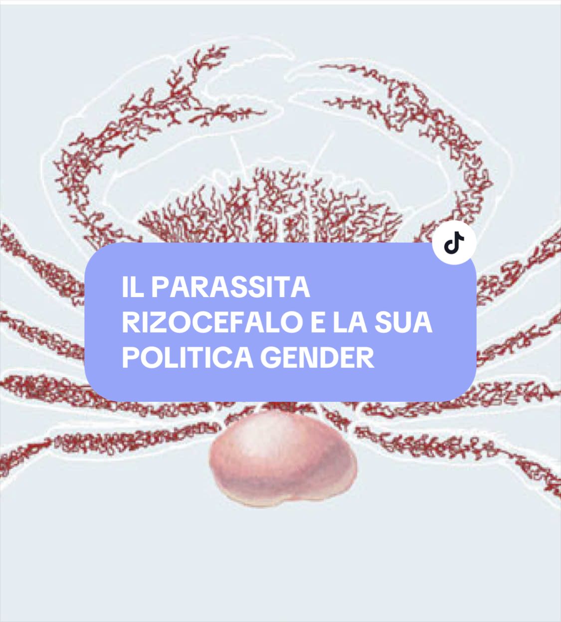 @Flaminia Scapigliati