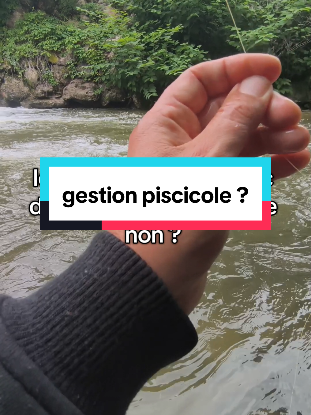 @flowfish