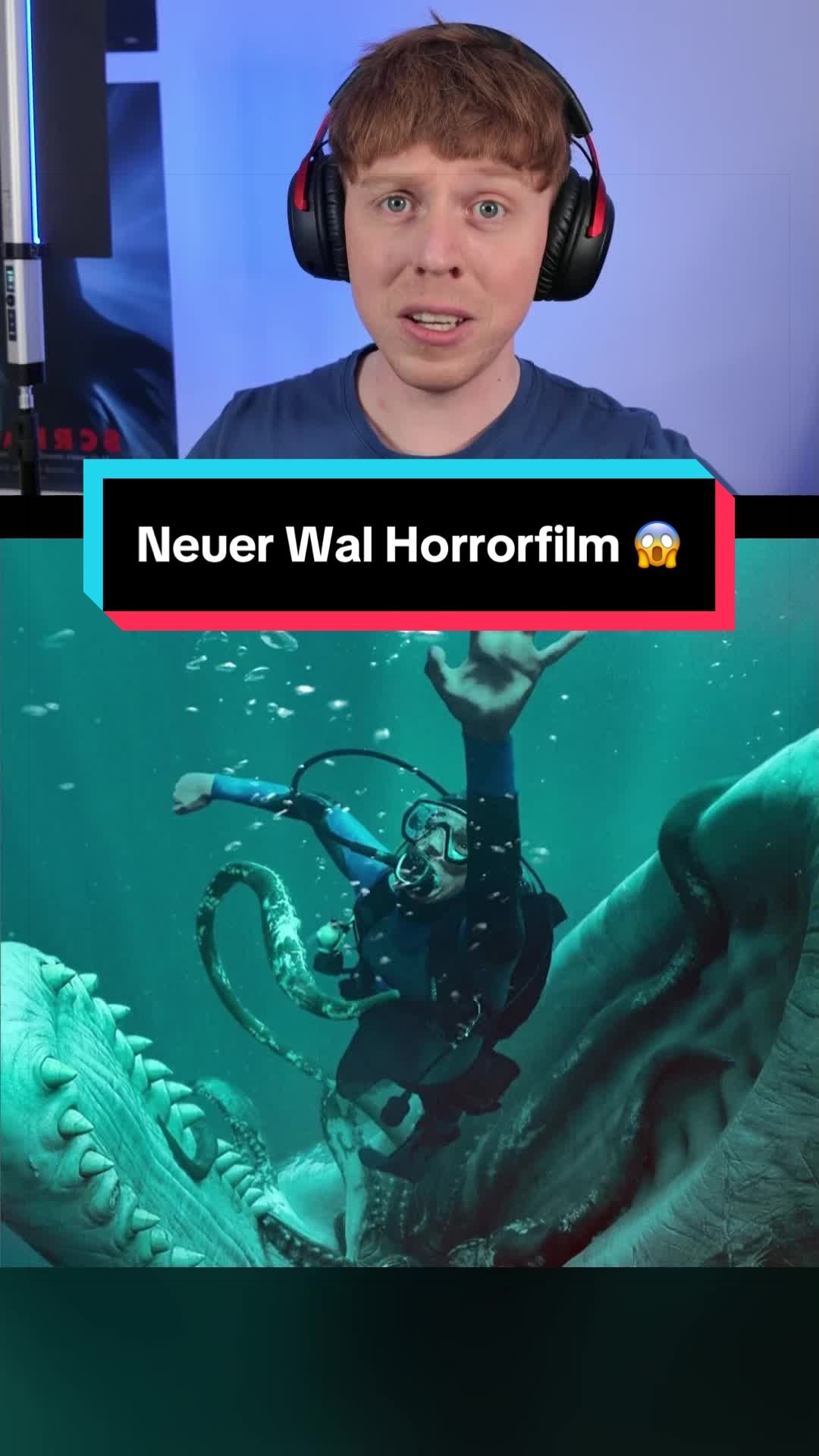 @nikflixplus | Niklas