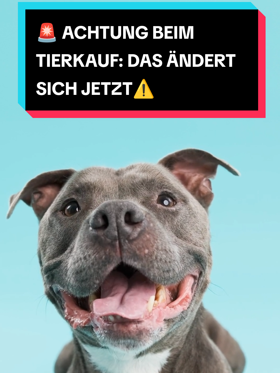 @Megaprojekte & Technik