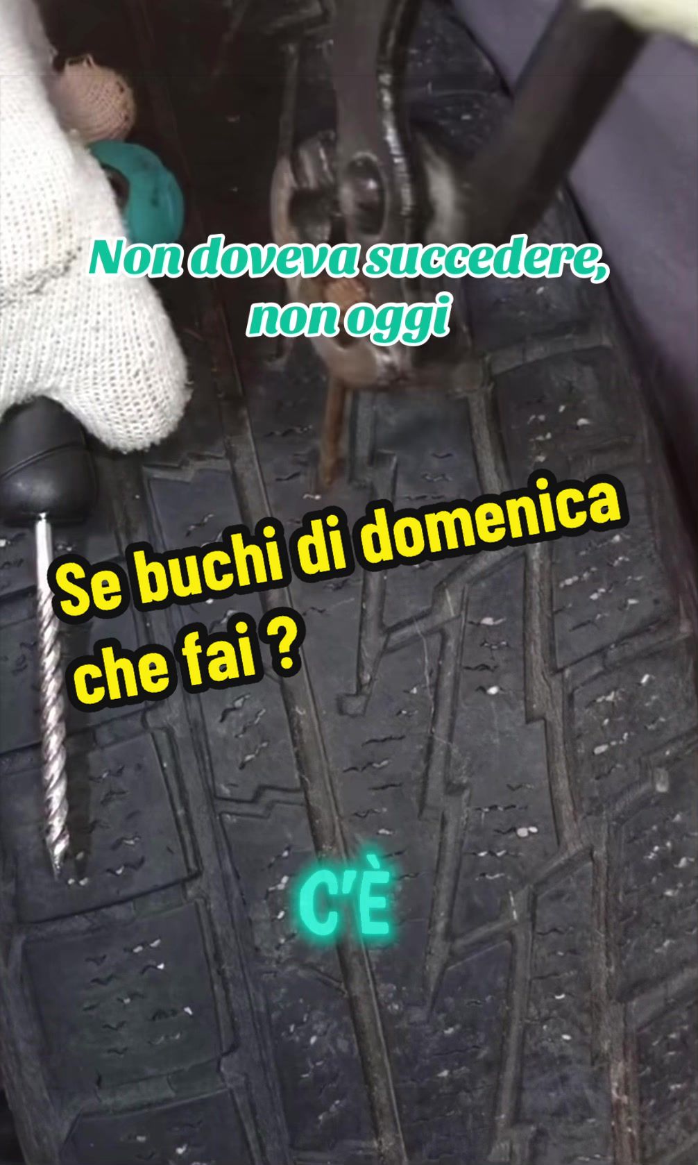 @Alessandro Cuomo ♌️