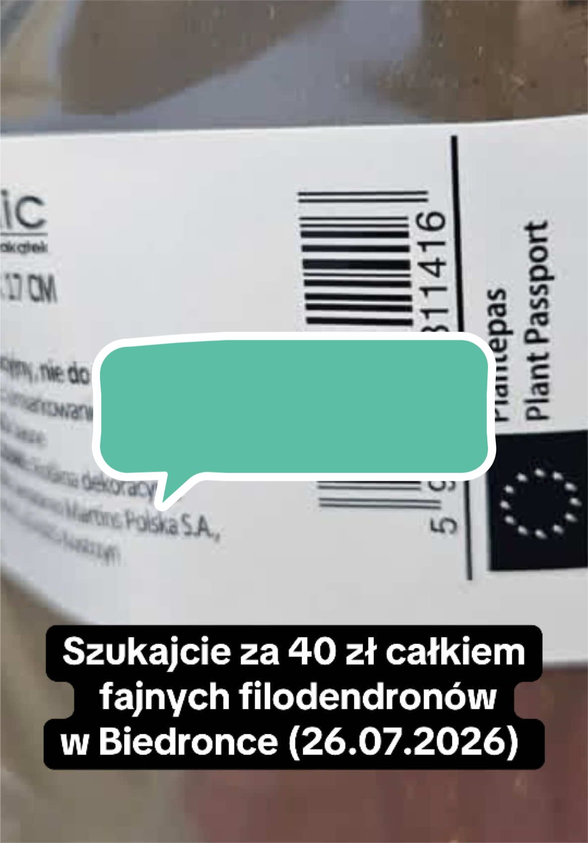 @maciej.plants