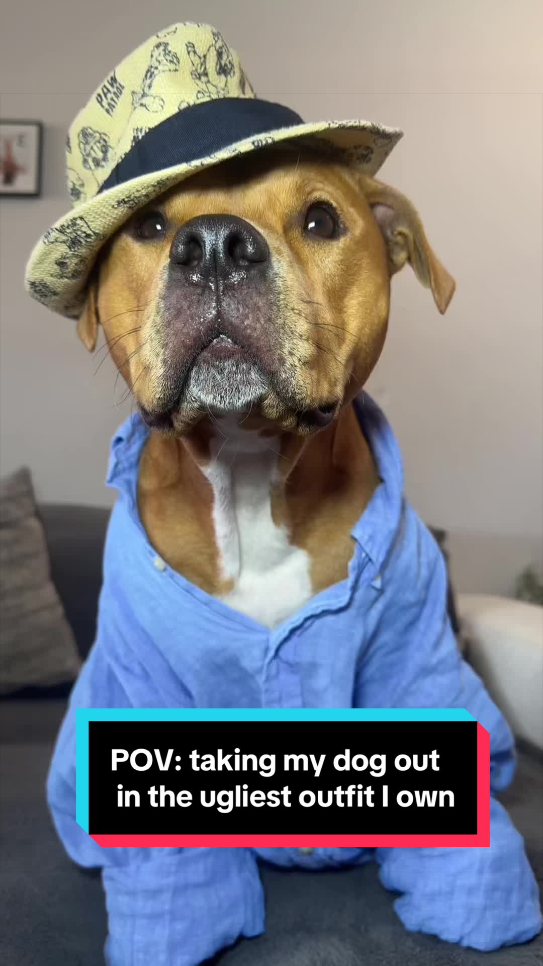 @Kaja & Macho 🥰