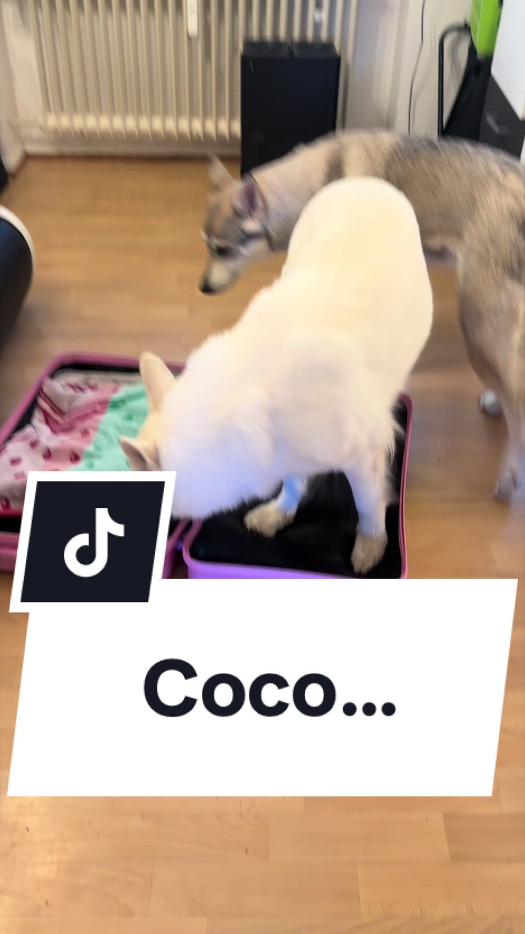 @Coco & Ylvi