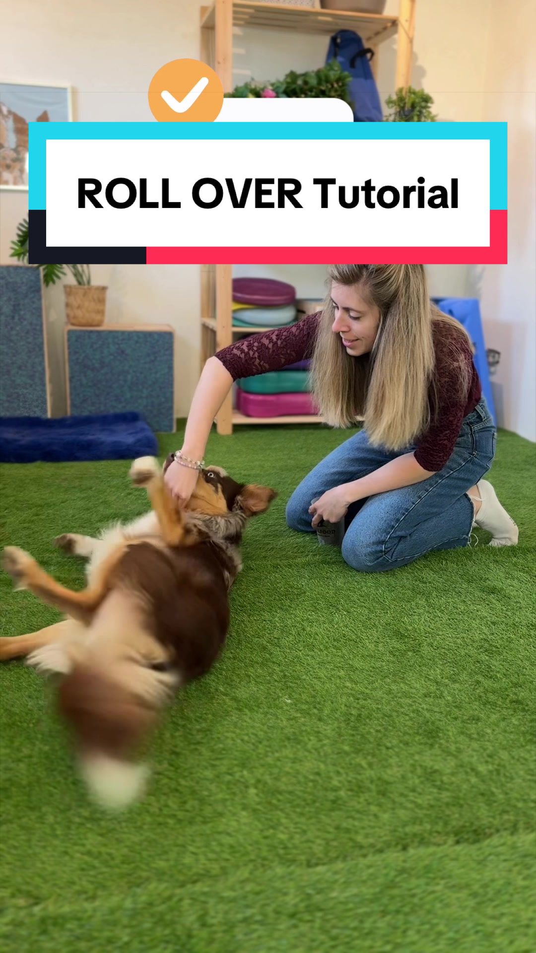 @The flash dogs