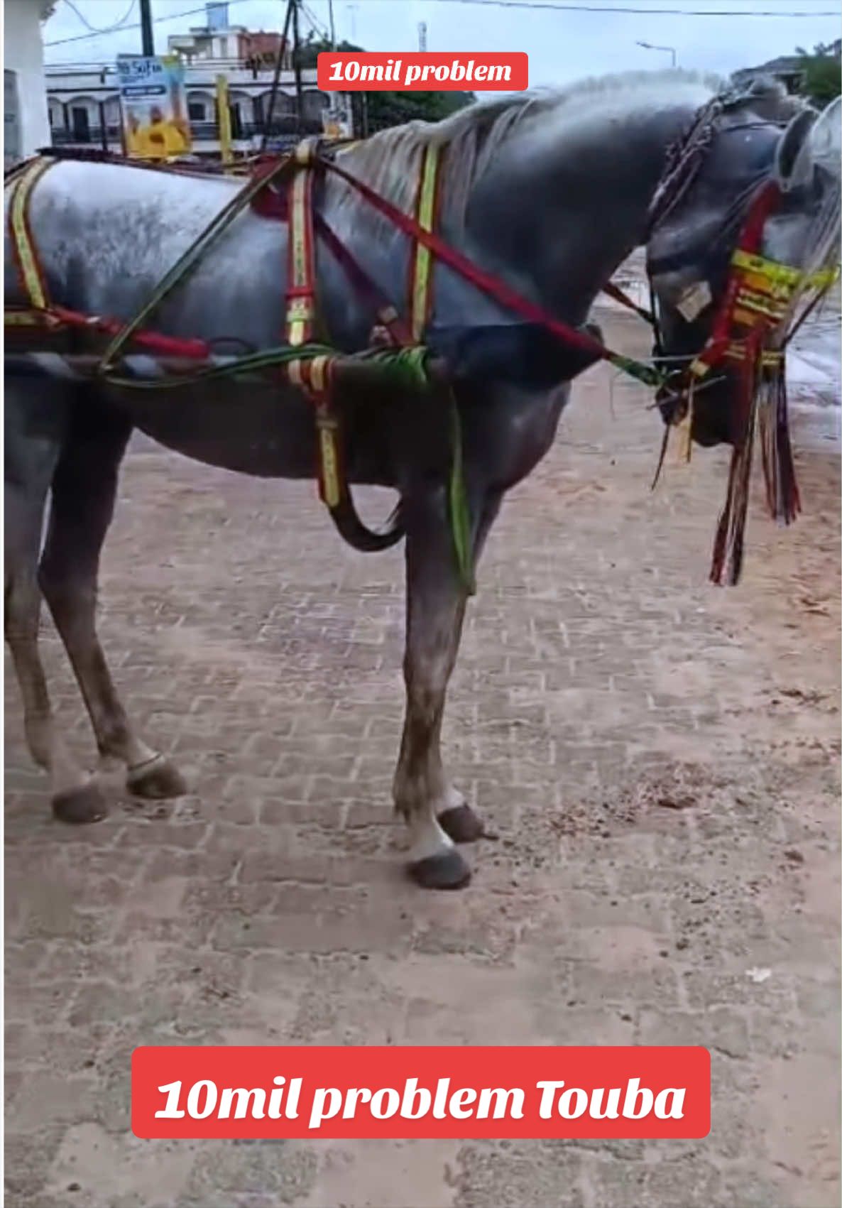 @10milproblem